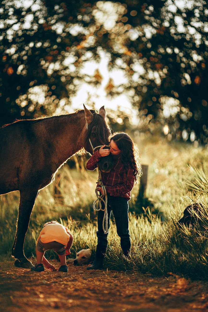 little girl kissing horse in pasture