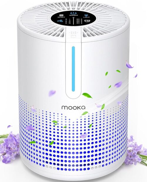 Air Purifiers for Bedroom Home 430 Sq.Ft, MOOKA H13 HEPA Filter Small Portable Air Purifier with USB Cable Fragrance Sponge for Smokers Pollen Pets Dust Odors, Desktop Air...