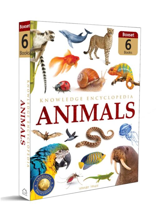 Animals: Collection of 6 Books: Knowledge Encyclopedia For Children (Box Set)