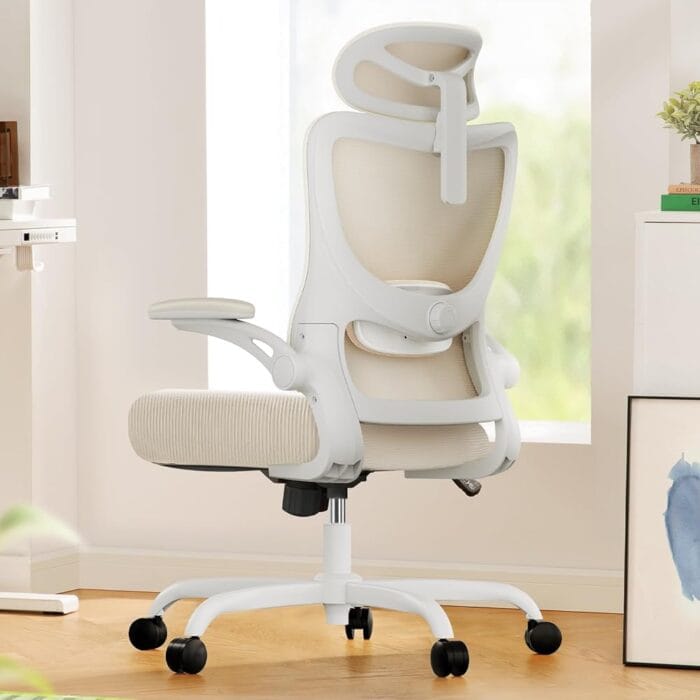 Marsail Ergonomic Office Chair: Office Computer Desk Chair with High Back Mesh and Adjustable Lumbar Support Rolling Work Swivel Task Chairs with Wheel 3D Armrests and Headrest...