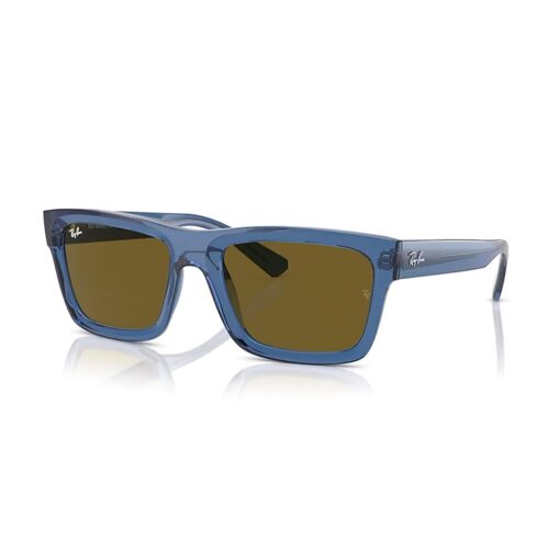 Ray-Ban RB4396 Warren Rectangular Sunglasses for Men for Women + BUNDLE With Designer iWear Complimentary Eyewear Kit