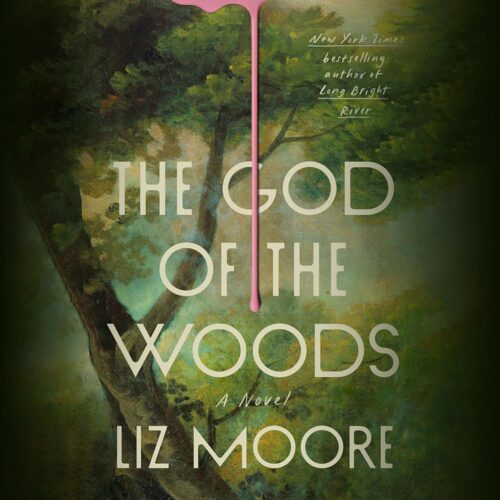 Amazon.com: The God of the Woods: A Novel (Audible Audio Edition): Liz Moore, Saskia Maarleveld, Penguin Audio: Audible Books & Originals