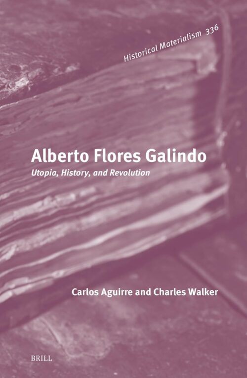 Alberto Flores Galindo: Utopia, History, and Revolution (Historical Materialism Book)
