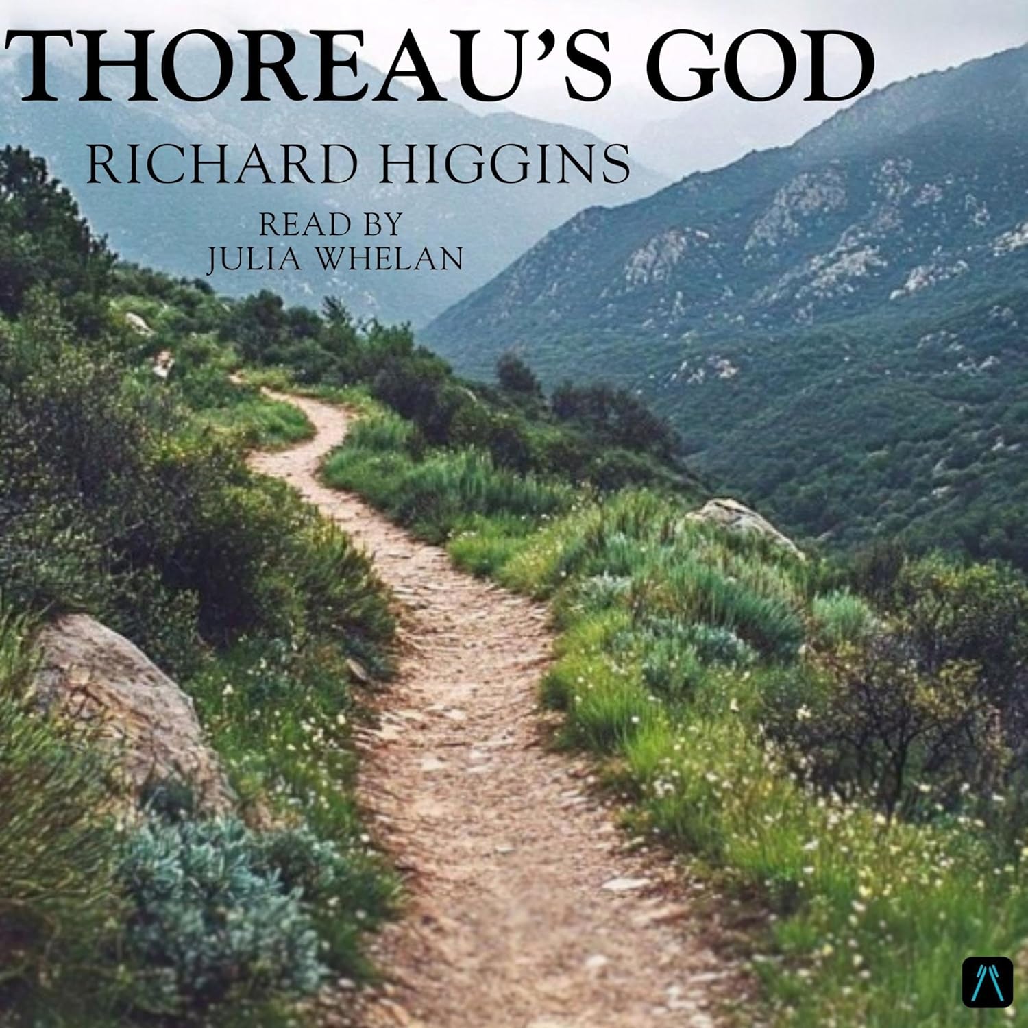 Thoreau’s God (Audible Audio Edition): Richard Higgins, Julia Whelan, Audiobrary: Books