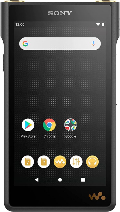 Sony NW-WM1AM2 Hi-Res 128GB Walkman Digital MP3 Music Player (Renewed)