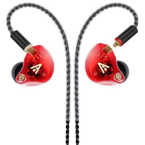 Vibes 202 Wired Earbuds - HiFi in Ear Monitor Headphones – Professional Noise-Isolating Ear Buds - Clear Sound, Deep Bass & Comfort-Fit IEM Earphones - MMCX to 3.5mm, Silver...