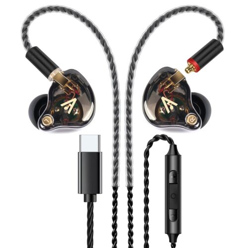 Vibes 202MC USB-C Wired Earbuds - HiFi in Ear Monitor Headphones - Noise Isolating Ear Buds w/ Mic - Clear Sound, Deep Bass & Comfort-Fit Earphones - MMCX to USBC, Silver Plated...