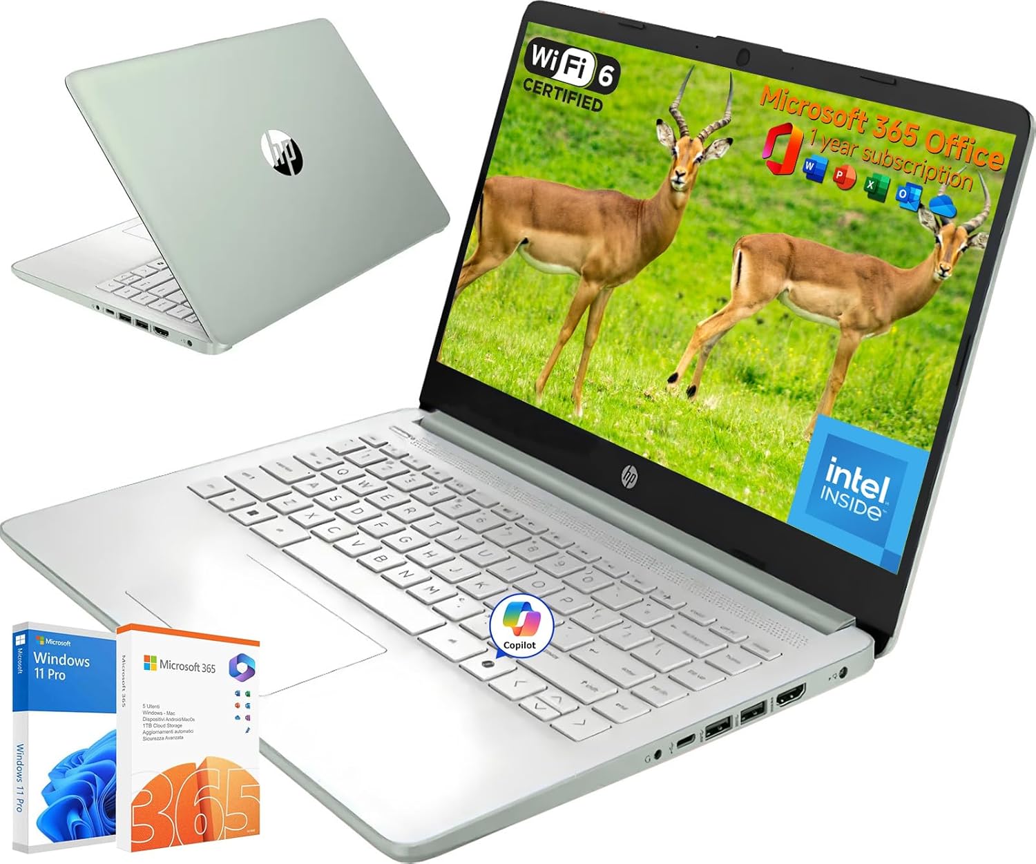 HP 2025 14 Inch Student Business Laptop, Intel N150 CPU, 16GB RAM, Storage(128GB UFS+256GB MSD+1 TB Flash Drive), Wi-Fi 6, Copilot AI, 1 Year Office 365, Willow Green, Windows…